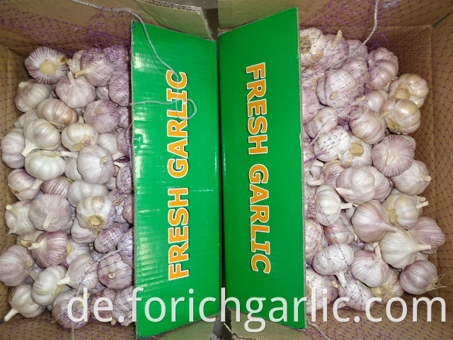 High Quality Normal Garlic